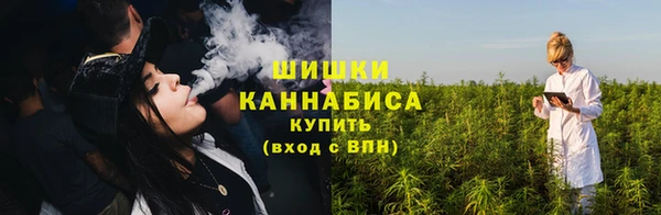 прущие грибы Белокуриха