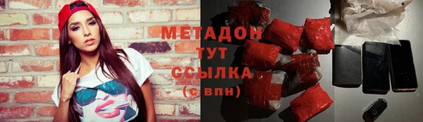 прущие грибы Белокуриха