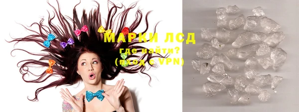 прущие грибы Белокуриха