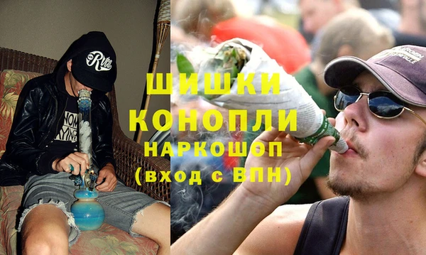 гидра Белоозёрский