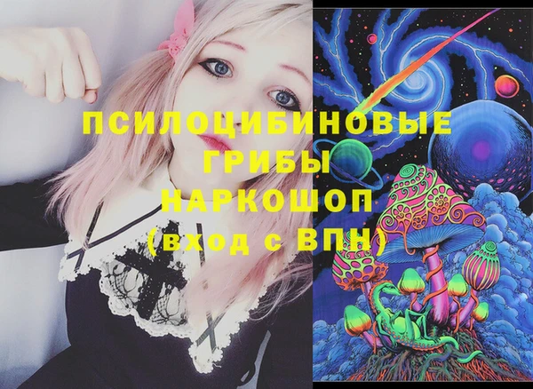 гидра Белоозёрский