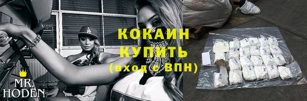 гидра Белоозёрский