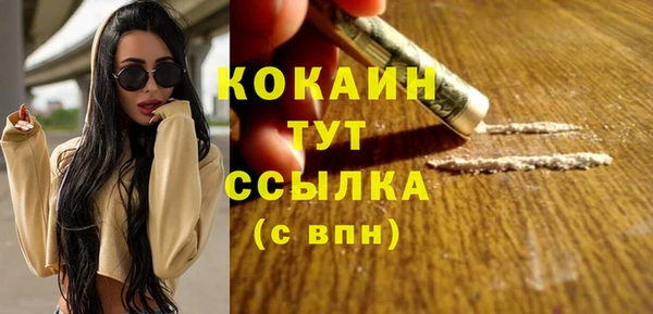 прущие грибы Белокуриха
