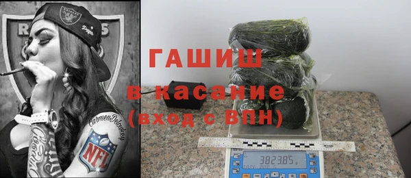 прущие грибы Белокуриха