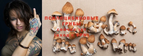 прущие грибы Белокуриха