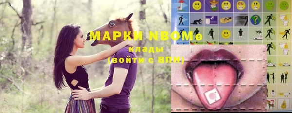 прущие грибы Белокуриха