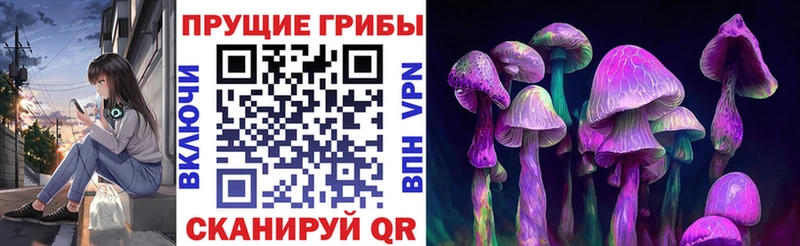 Псилоцибиновые грибы ЛСД  где купить наркоту  Чишмы 